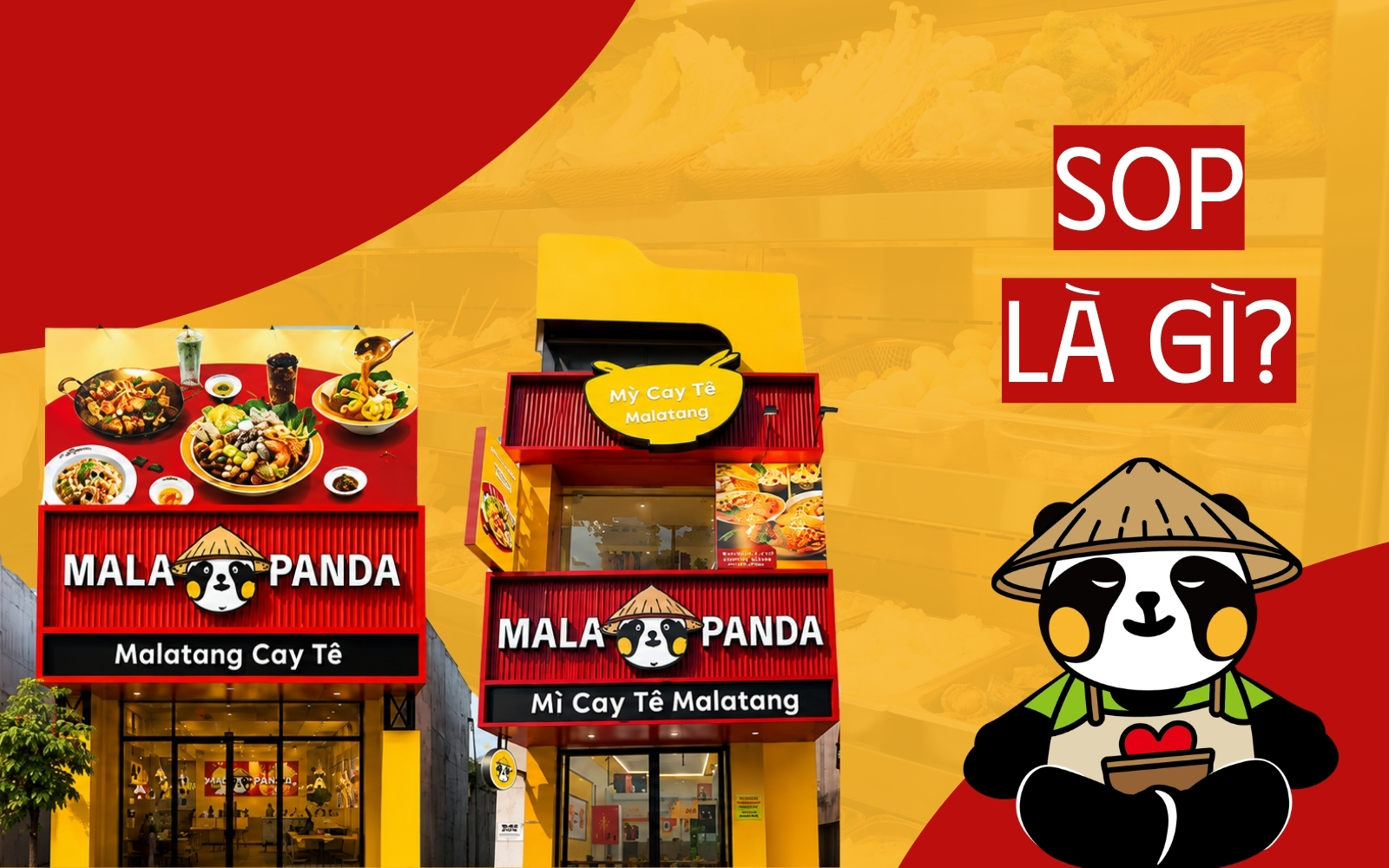 SOP Là Gì? Vì Sao Hệ Thống SOP Là Chìa Khóa Thành Công Của Mala Panda?